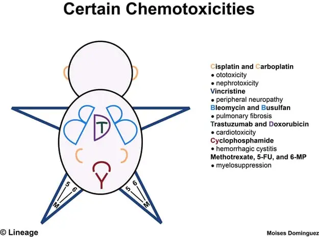 Cancer Drugs Overview